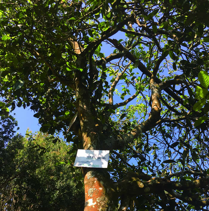 韩漫免费无羞遮无删漫画入口