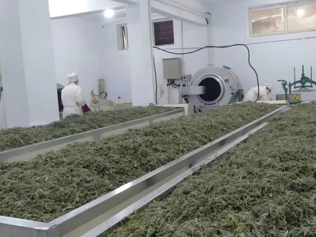 韩漫免费无羞遮无删漫画入口