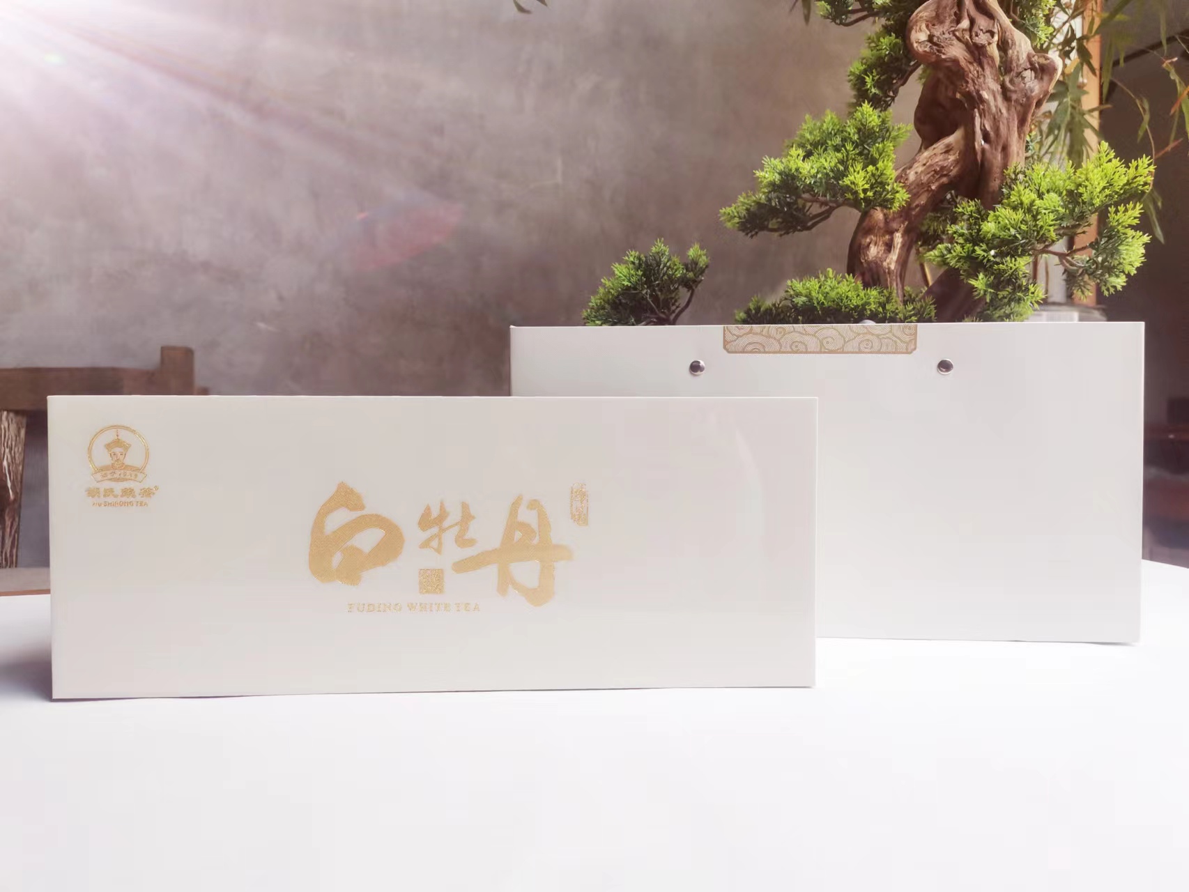 韩漫免费无羞遮无删漫画入口