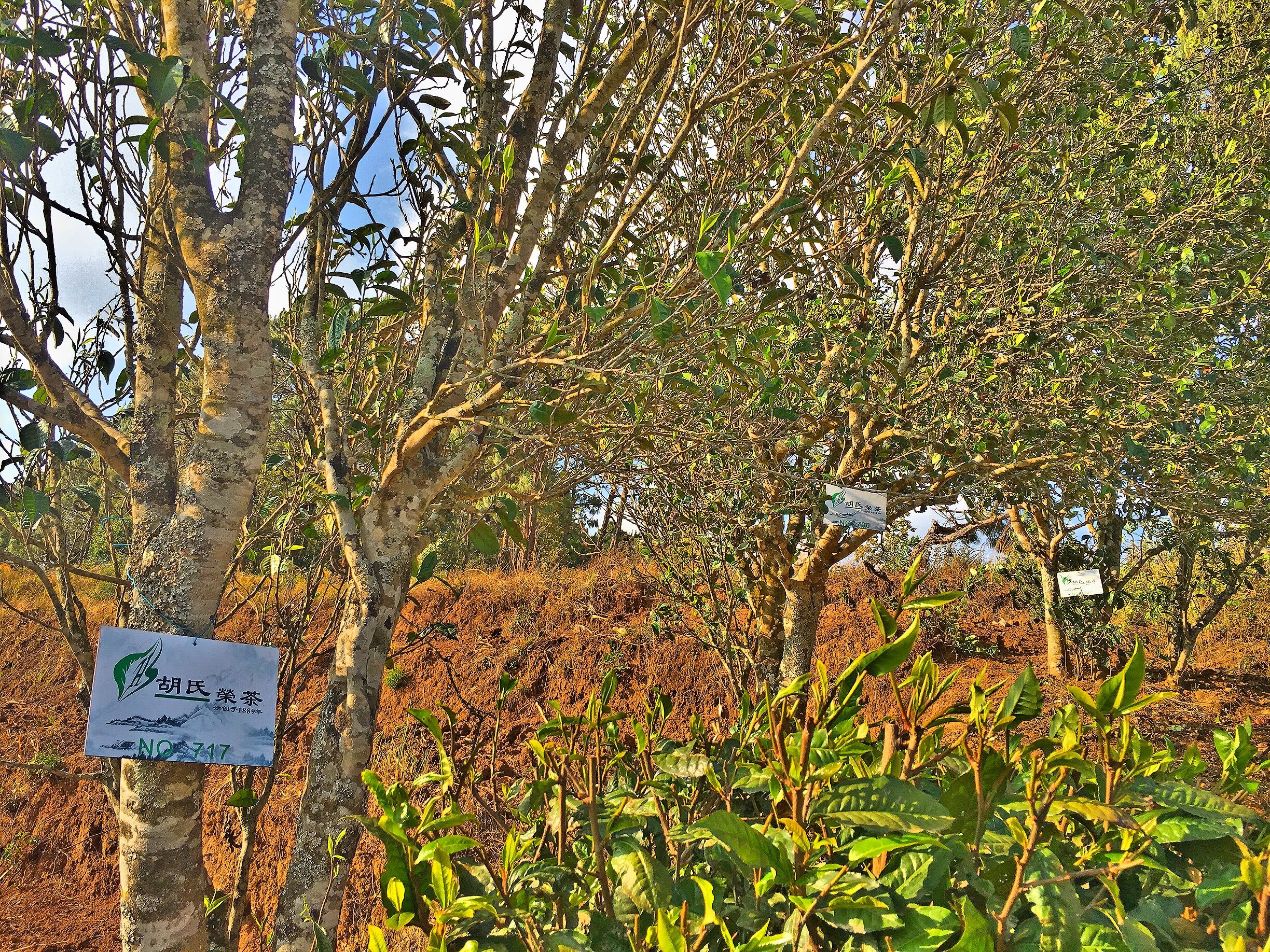 韩漫免费无羞遮无删漫画入口