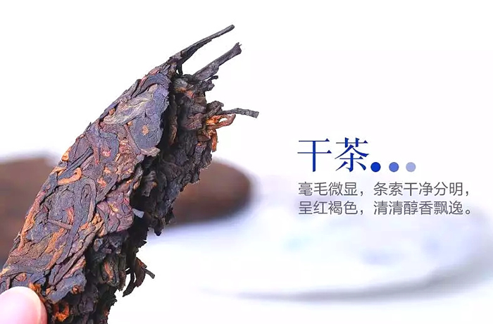 韩漫免费无羞遮无删漫画入口