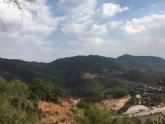 景谷：独一无二的普洱茶庄园 高大上且美出新高度