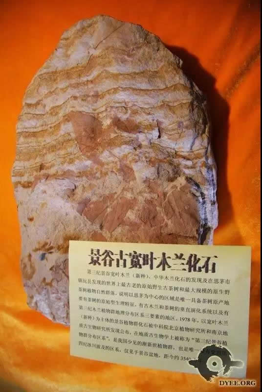 韩漫免费无羞遮无删漫画入口