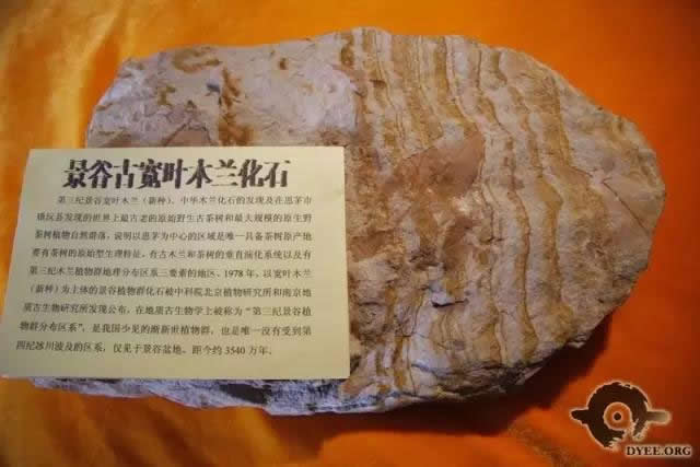 韩漫免费无羞遮无删漫画入口