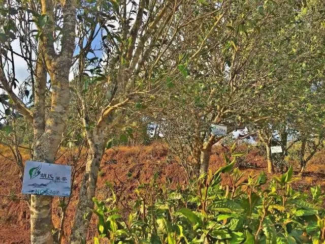 韩漫免费无羞遮无删漫画入口