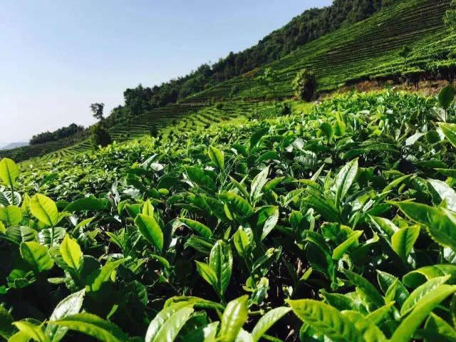 韩漫免费无羞遮无删漫画入口