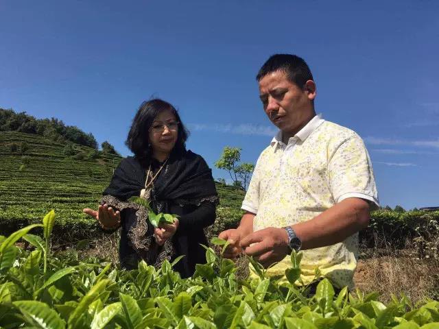 韩漫免费无羞遮无删漫画入口