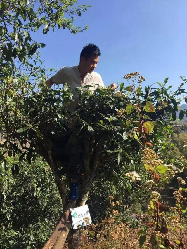 韩漫免费无羞遮无删漫画入口