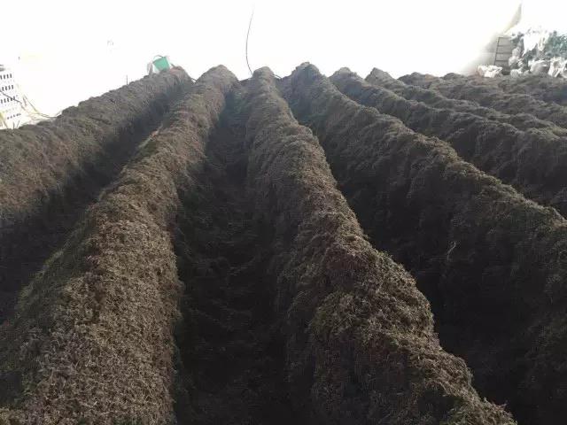 韩漫免费无羞遮无删漫画入口