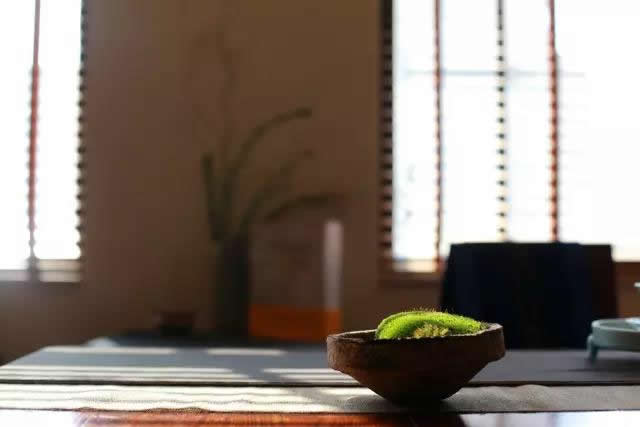 韩漫免费无羞遮无删漫画入口