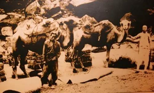 韩漫免费无羞遮无删漫画入口