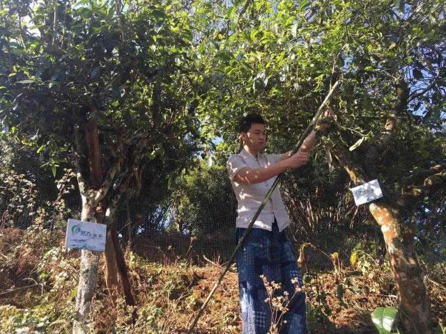 韩漫免费无羞遮无删漫画入口