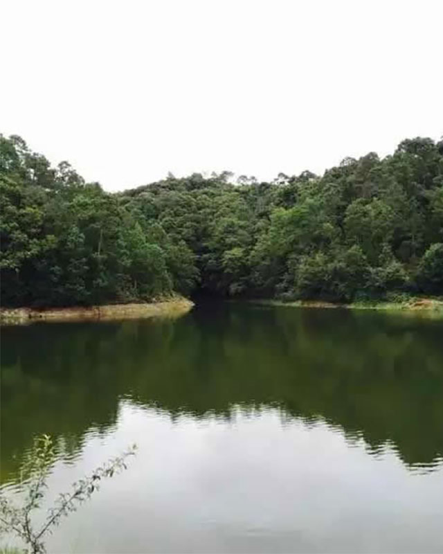 韩漫免费无羞遮无删漫画入口