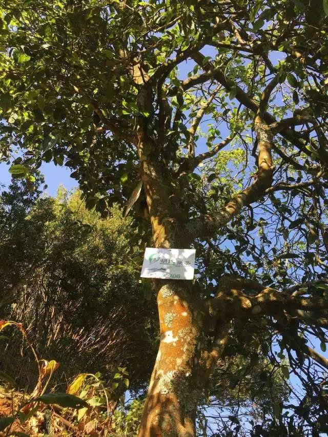 韩漫免费无羞遮无删漫画入口