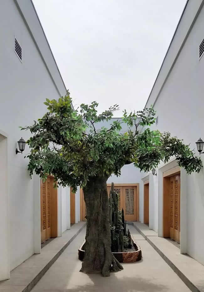 韩漫免费无羞遮无删漫画入口